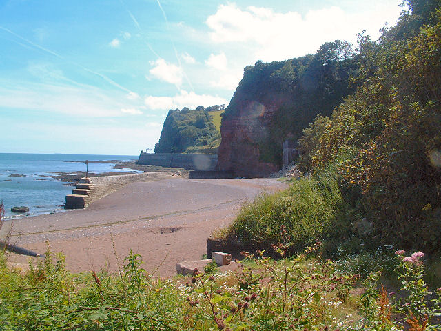 PegasusLife Shell Cove
