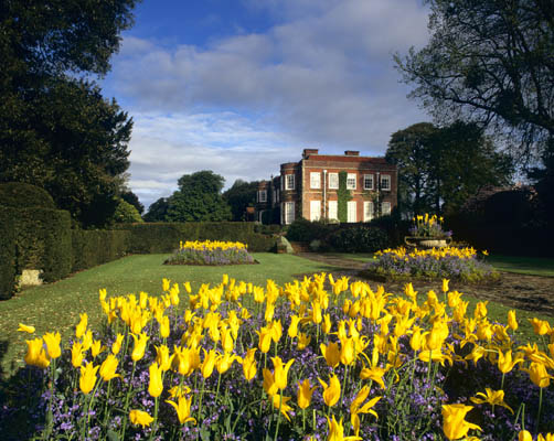 A view from a bright yellow bed of tulips looking towards the house on a lovely spring day at Hinton Ampner, Hampshire.