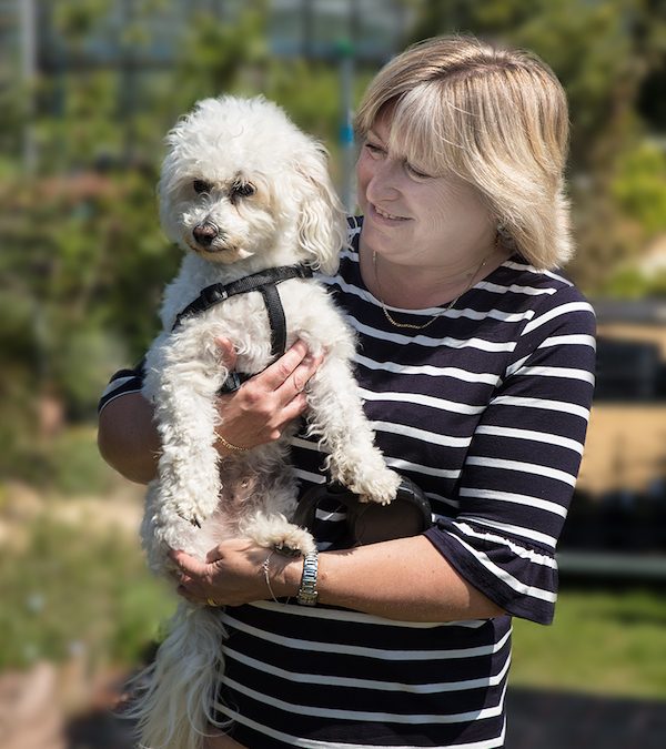 How you can benefit from caring for an animal