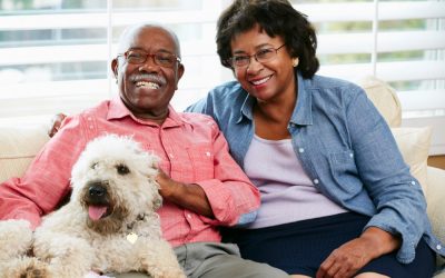 How pet owners thrive with McCarthy and Stone