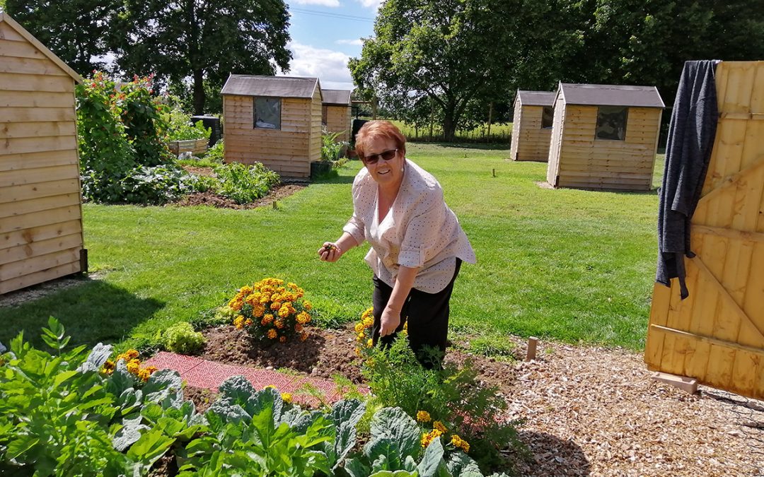 How garden lovers are pursuing their passion at Great Alne Park