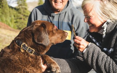 Record-breaking award for customer satisfaction