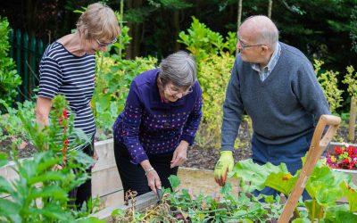 How to enjoy every moment of your retirement